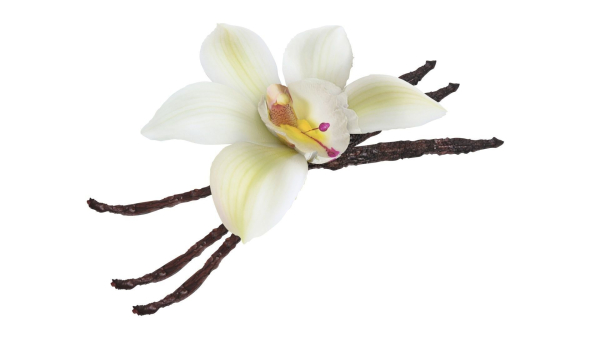 Vanilla
