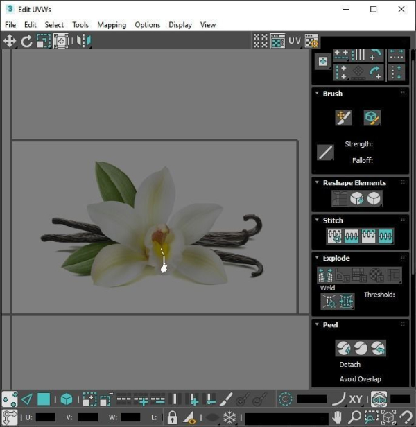 Vanilla