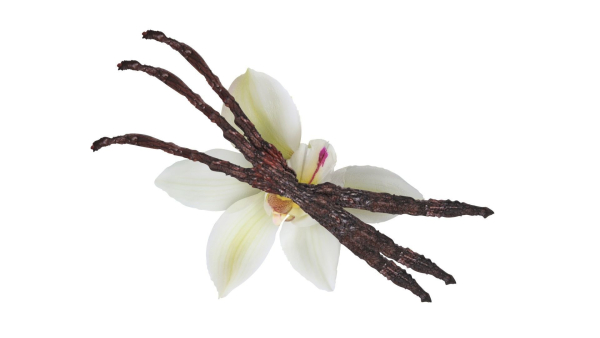 Vanilla