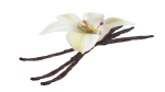 Vanilla