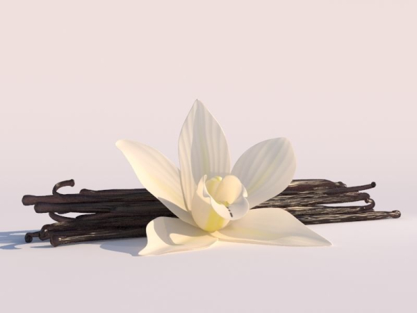 Vanilla Flower
