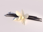 Vanilla Flower