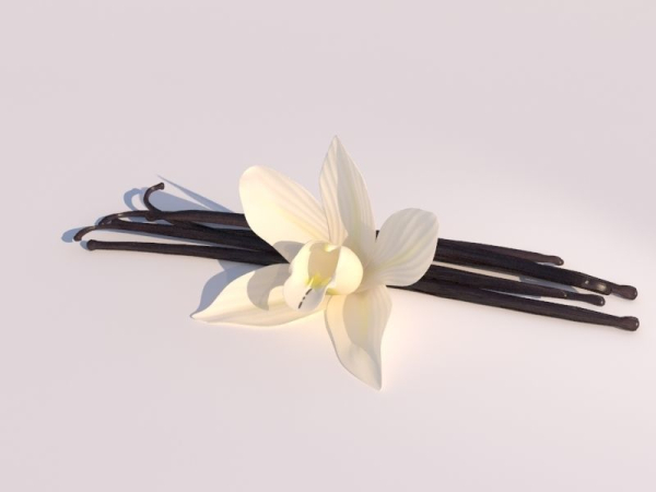 Vanilla Flower