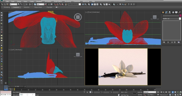 Vanilla Flower