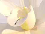 Vanilla Flower