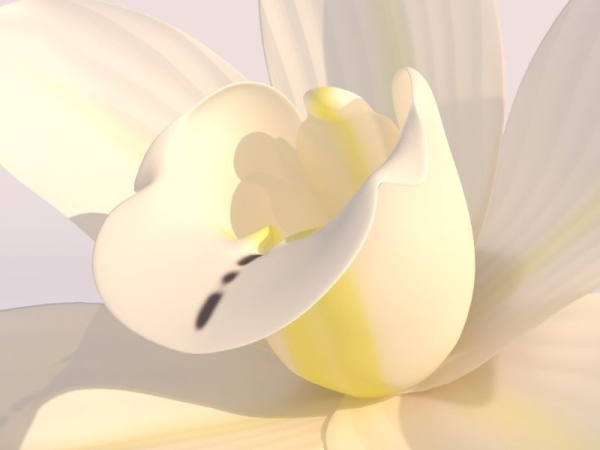 Vanilla Flower