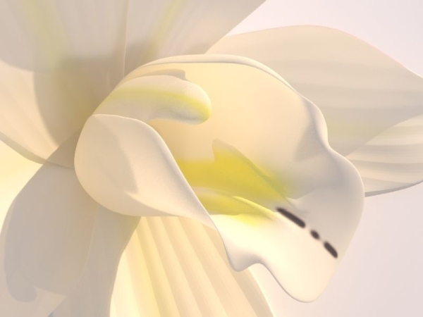 Vanilla Flower