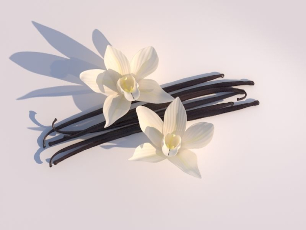 Vanilla Flower