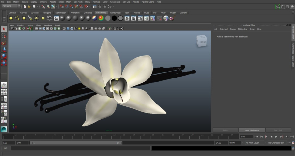 Vanilla Flower