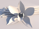 Vanilla Flower
