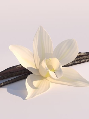 Vanilla Flower