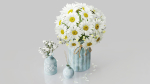 Vase set 1 daisies in