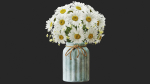 Vase set 1 daisies in