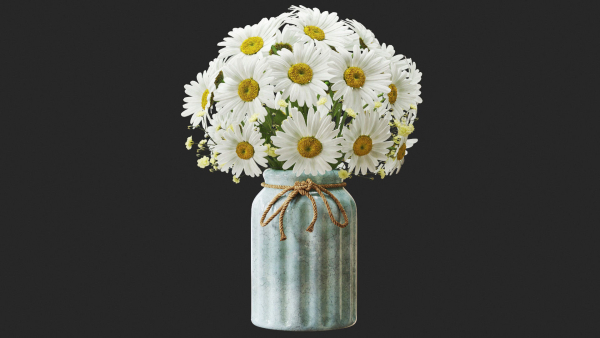 Vase set 1 daisies in
