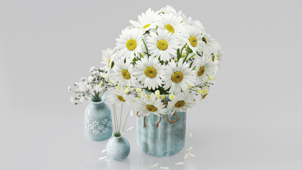 Vase set 1 daisies in