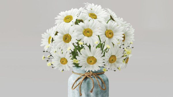 Vase set 1 daisies in