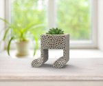 Vase Succulent Musical Notes Plants