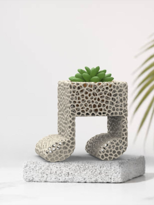 Vase Succulent Musical Notes Plants