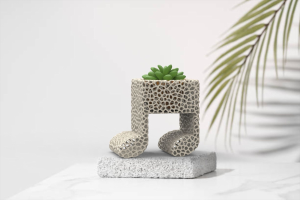 Vase Succulent Musical Notes Plants