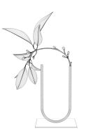 Vase Tube with Leaves