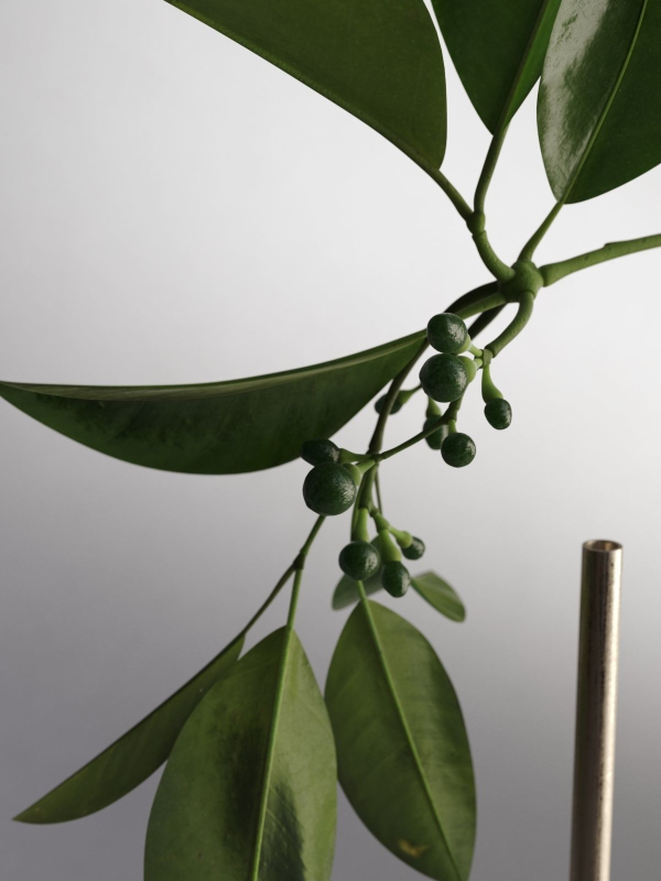 Vase Tube with Leaves