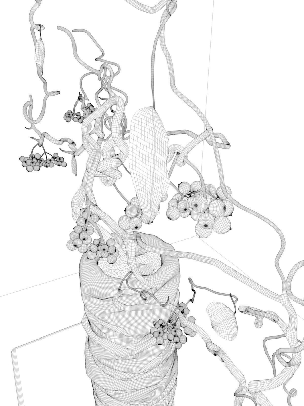 Vase with Rose Hip 3