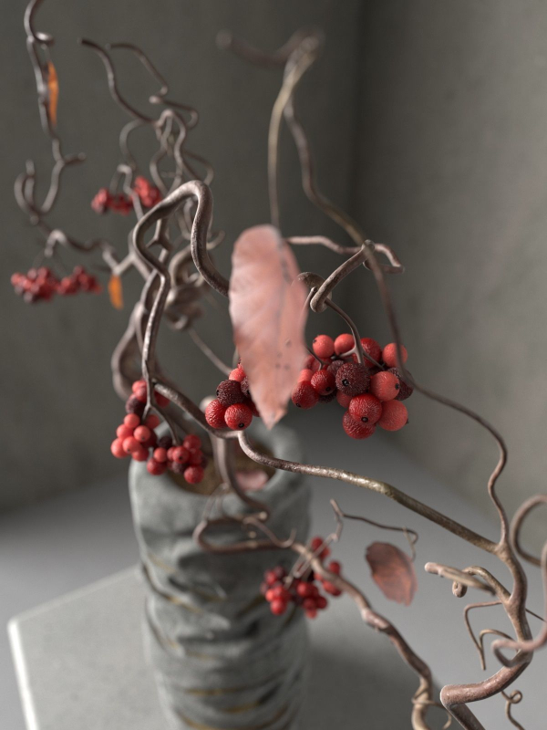 Vase with Rose Hip 3