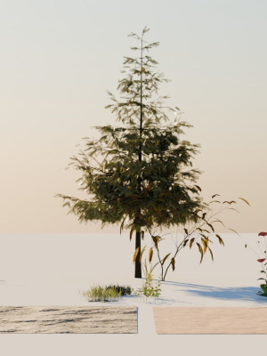 Vegetation Pack Small