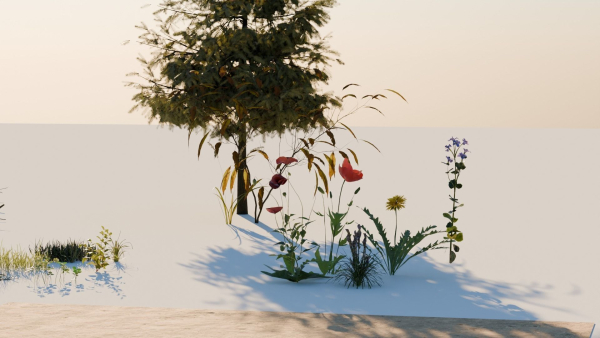Vegetation Pack Small