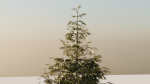 Vegetation Pack Small