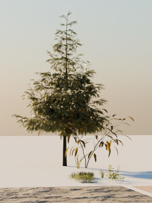 vegetation-pack-small-3d-model-b325785a7a