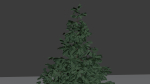 Vegetation Pack Small