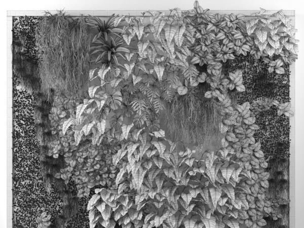 Vertical Garden 2