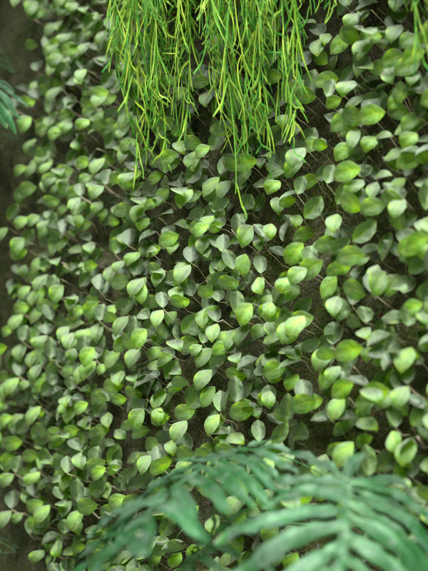 Vertical Garden 2