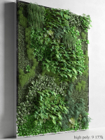 Vertical Garden 2