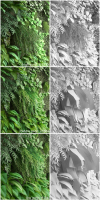 Vertical Garden 2