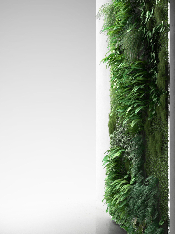 Vertical Garden 2