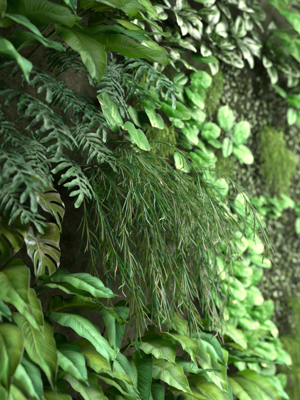 Vertical Garden 2