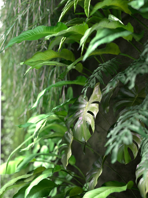 Vertical Garden 2