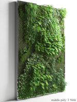 Vertical Garden 2