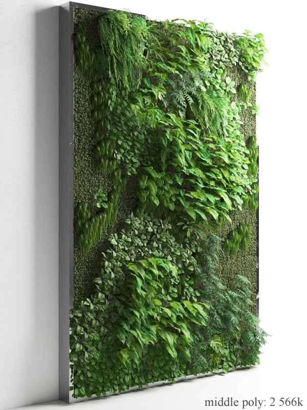 Vertical Garden 2
