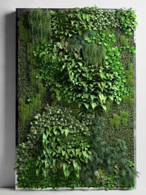 Vertical Garden 2