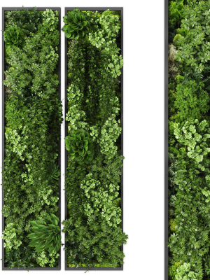 Vertical garden 225