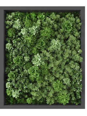 Vertical garden 226
