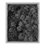 Vertical garden 226