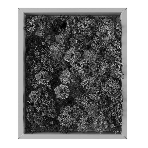 Vertical garden 226