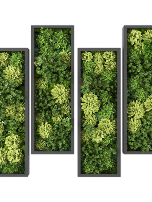 Vertical garden 227