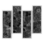 Vertical garden 227
