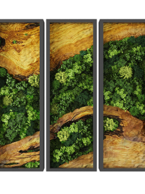 Vertical garden 229