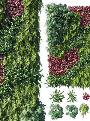 Vertical garden  Green wall 06